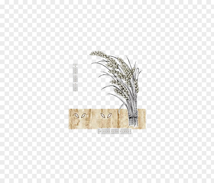 Bunch Of Rice Food Grain Icon PNG