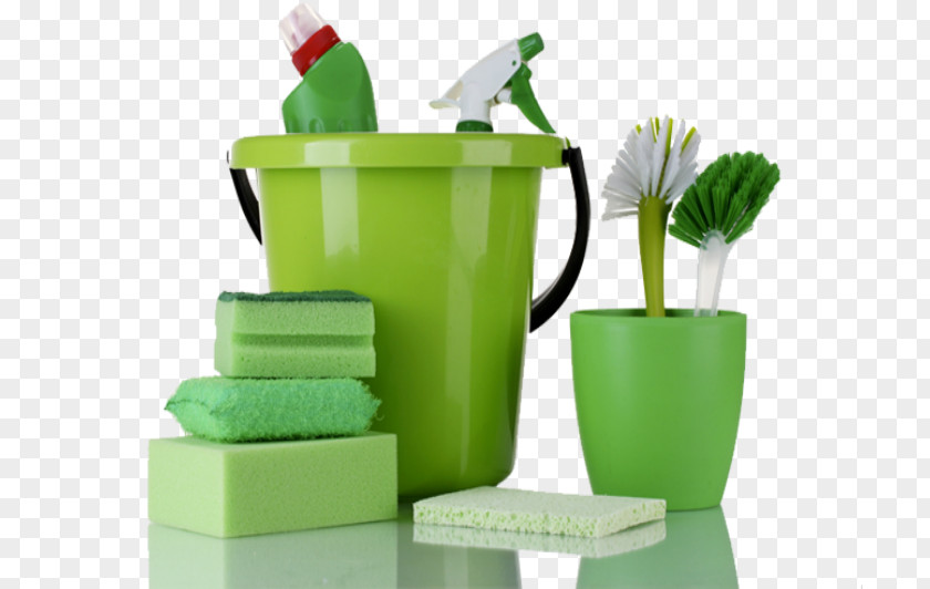 Eco Friendly Green Cleaning Maid Service Environmentally Cleaner PNG