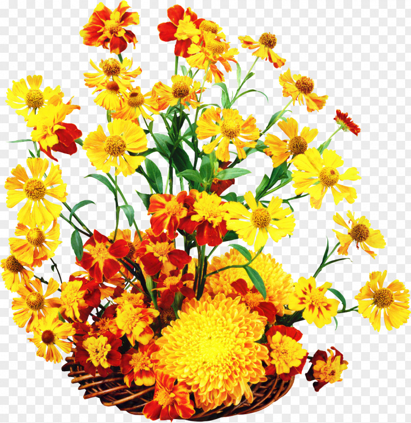 Flower Floral Design Autumn Image Painting PNG