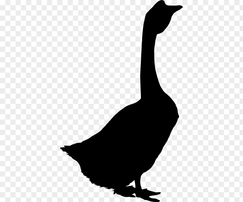 Goose Feather Silhouette Clip Art Fauna PNG
