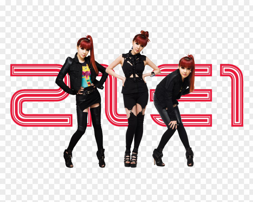 Park Bom 2NE1 To Anyone Desktop Wallpaper Collection PNG