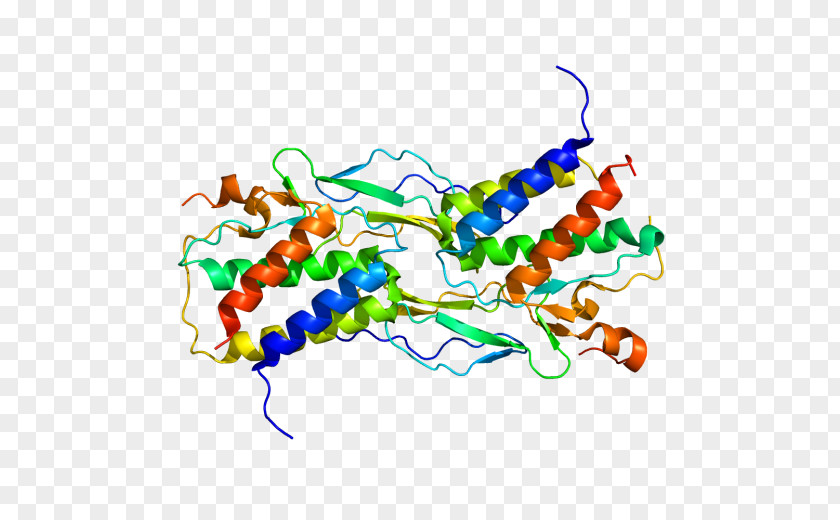 Pathogenesisrelated Protein Interleukin 15 Cytokine Interleukin-2 Natural Killer Cell PNG