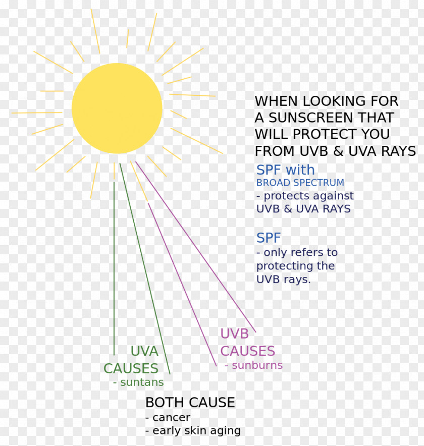 Sun Rays Sunlight Sunscreen Ray Diagram PNG