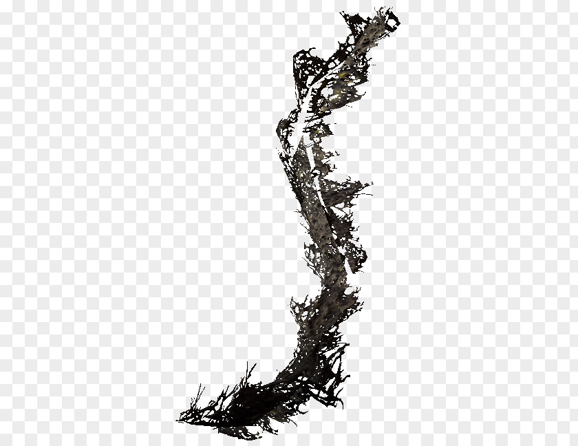 Tree The Elder Scrolls V: Skyrim – Dragonborn Twig Clip Art Pine PNG