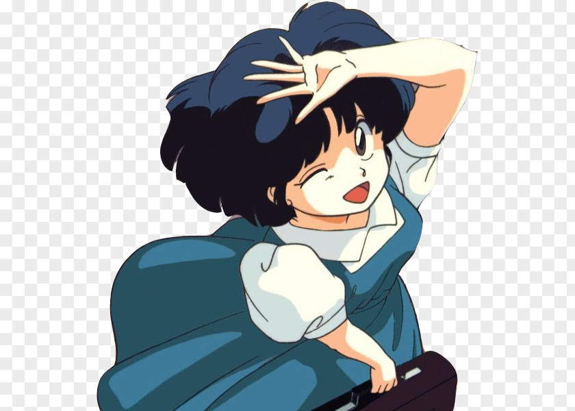 Cosplay Akane Tendo Nabiki Ranma ½ Saotome Genma PNG