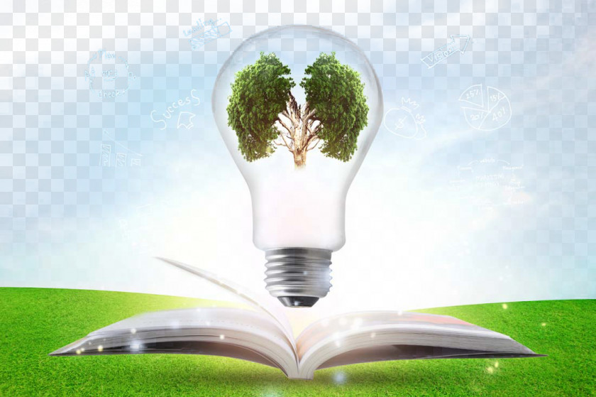 Creative Green Light Bulb PNG
