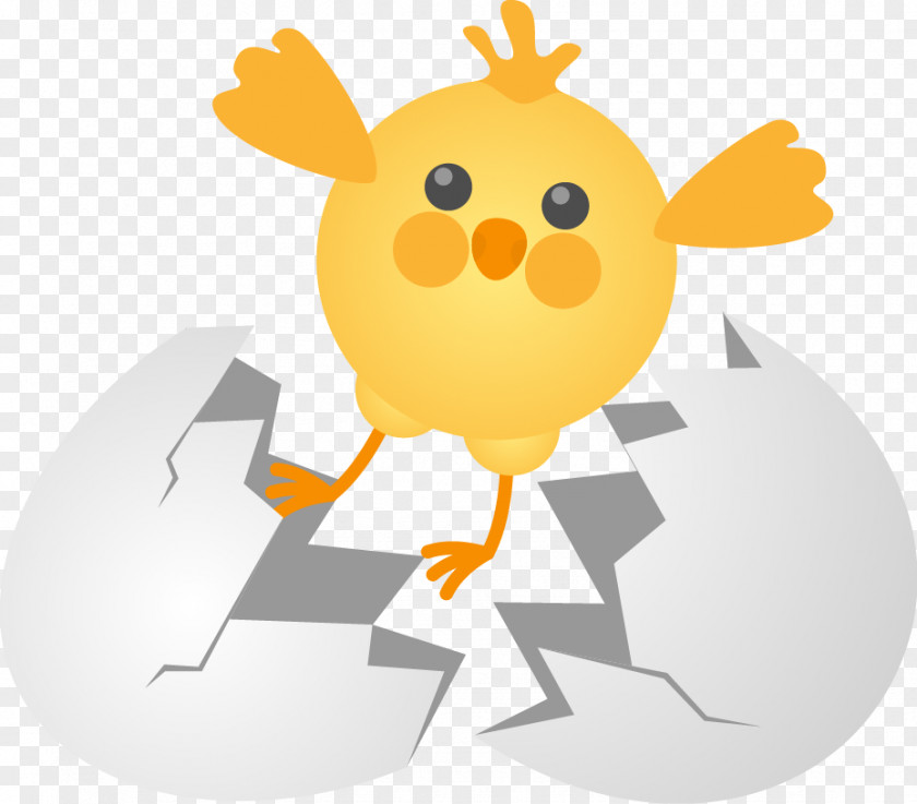 Cute Cartoon Chick Egg Shell Eggs Broken Fried Chicken Rotisserie Buffalo Wing PNG