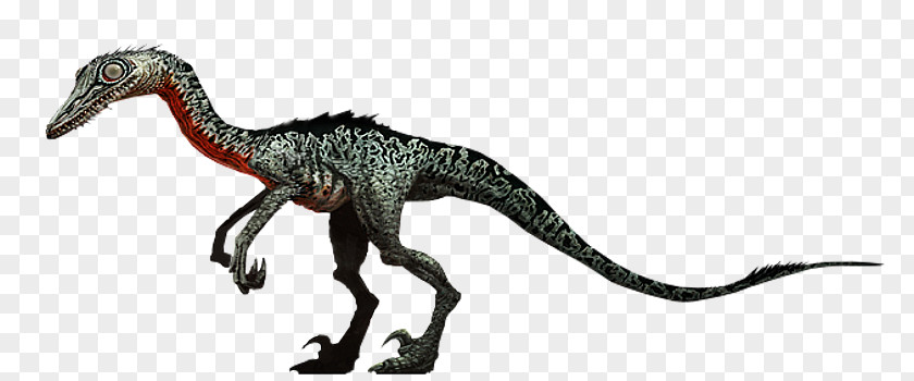 Jurassic Park Park: The Game Troodon World Evolution Velociraptor PNG