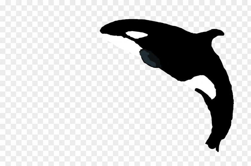 Killer Whale Canidae Dog Marine Mammal Silhouette Clip Art PNG