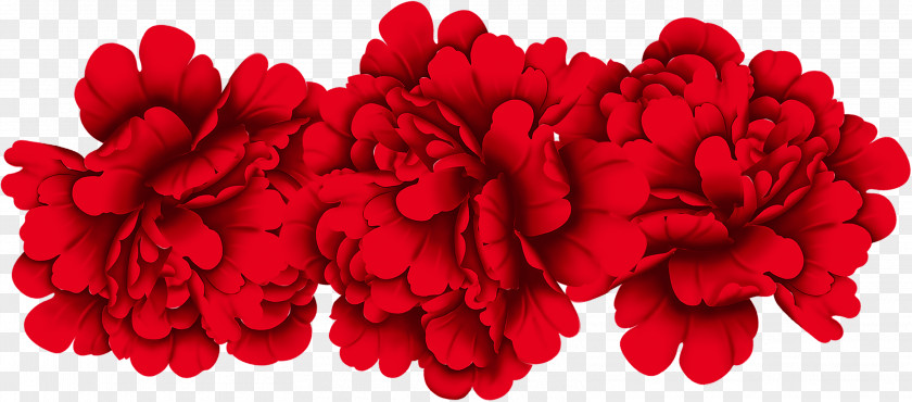 Red Peony Flower Material Moutan PNG
