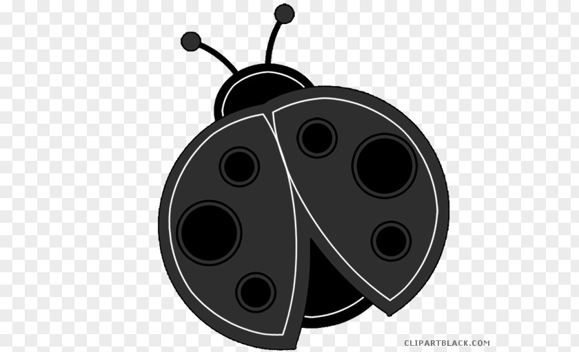 Beetle Ladybird Clip Art Openclipart Image PNG