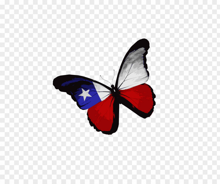 Butterfly Flag Of Texas The United States Oman Stock Photography PNG