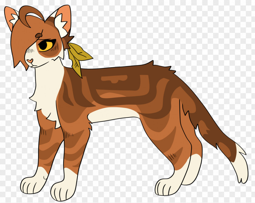 Cat Whiskers Red Fox Dog Breed PNG