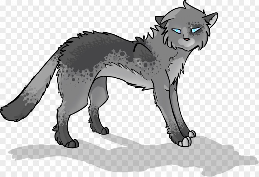 Cat Whiskers Red Fox Lion Wolf PNG