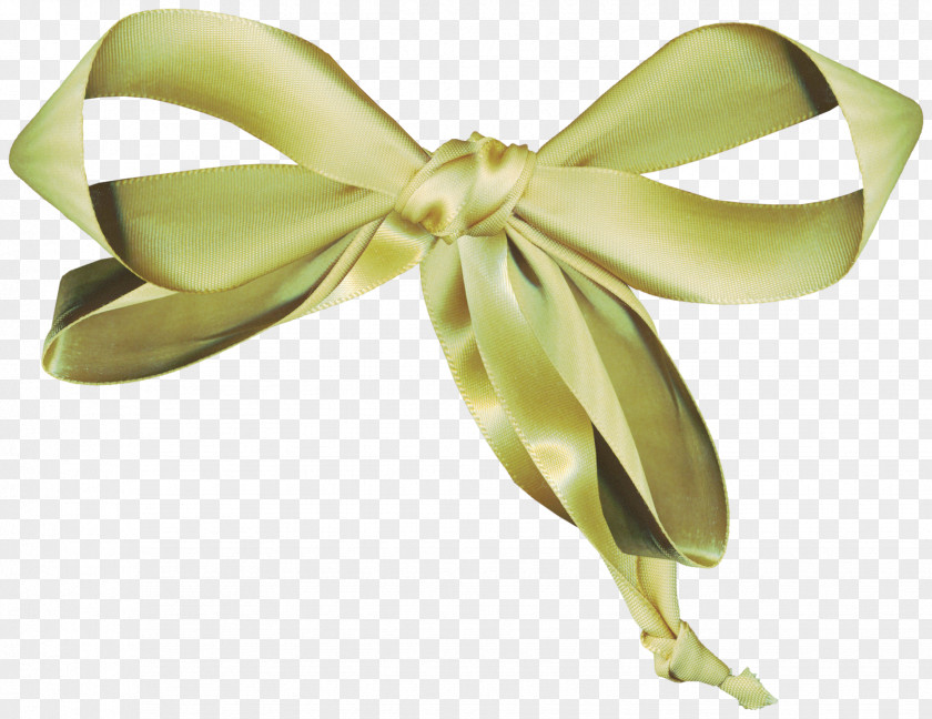 Green Ribbon Bow Knot Material Creativity PNG