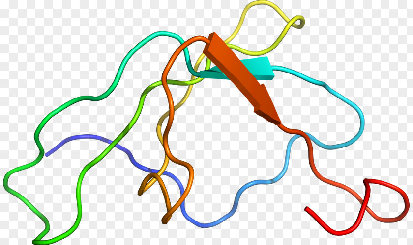 Line Point Organism Clip Art PNG