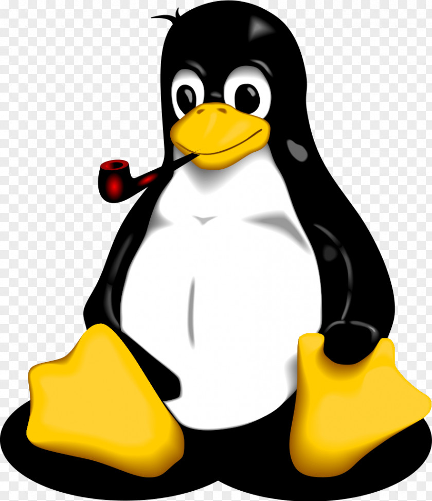 Linux Tuxedo History Of Penguin PNG