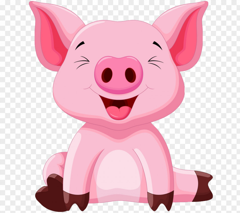 Pig Vector Graphics Royalty-free Clip Art Stock Illustration PNG