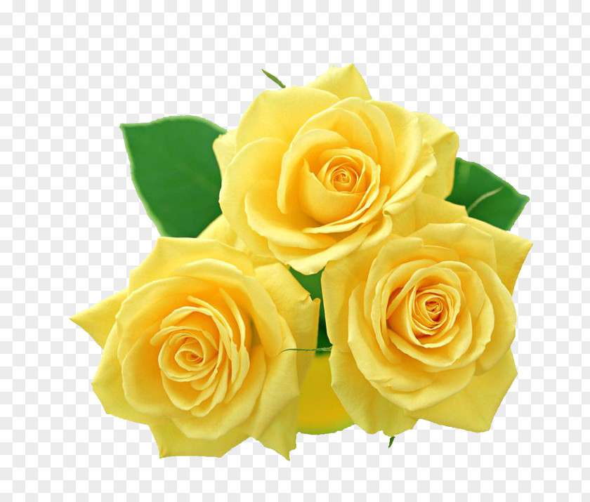 Yellow Flowers Bouquet File Rose Clip Art PNG