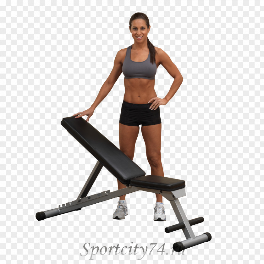 Park Bench Exercise Dumbbell Weight Training Flexibility PNG