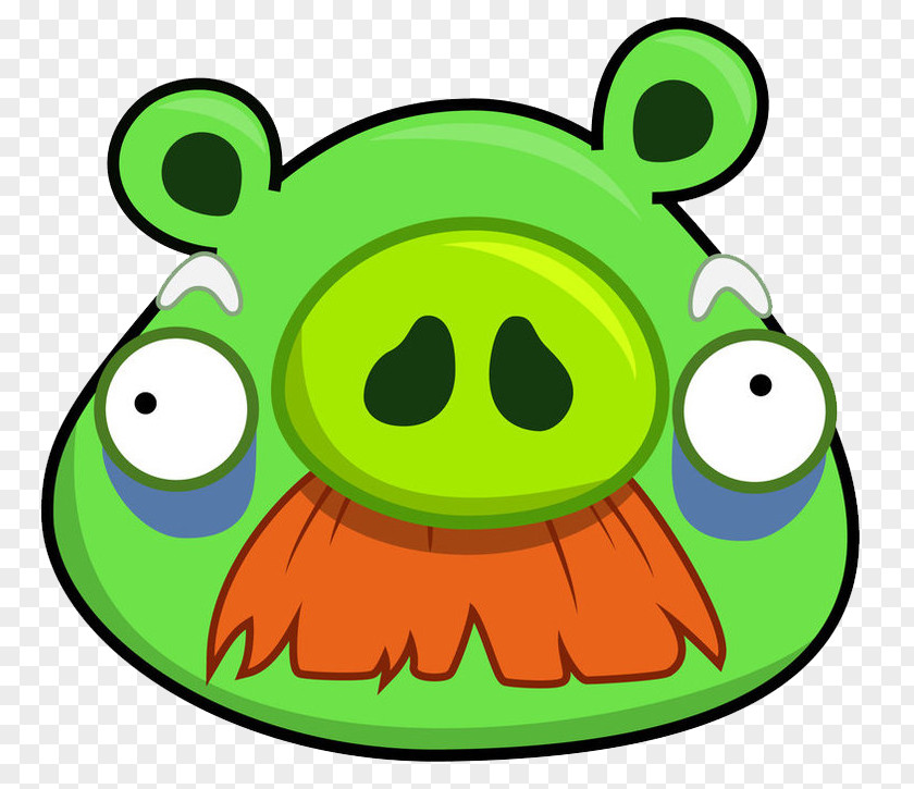 Angry Bad Piggies Birds Go! Epic PNG