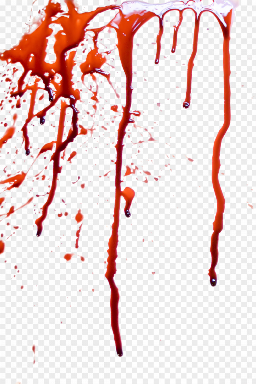 Blood Elements Image File Formats Clip Art PNG