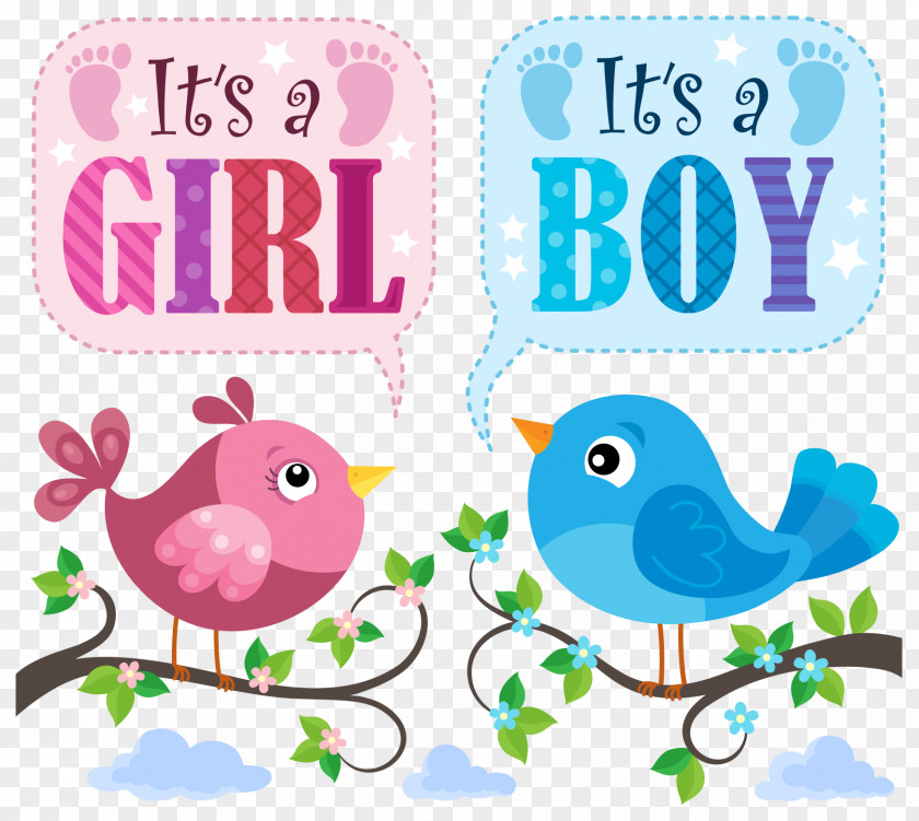 Cute Bird With Baby Card Vector PNG
