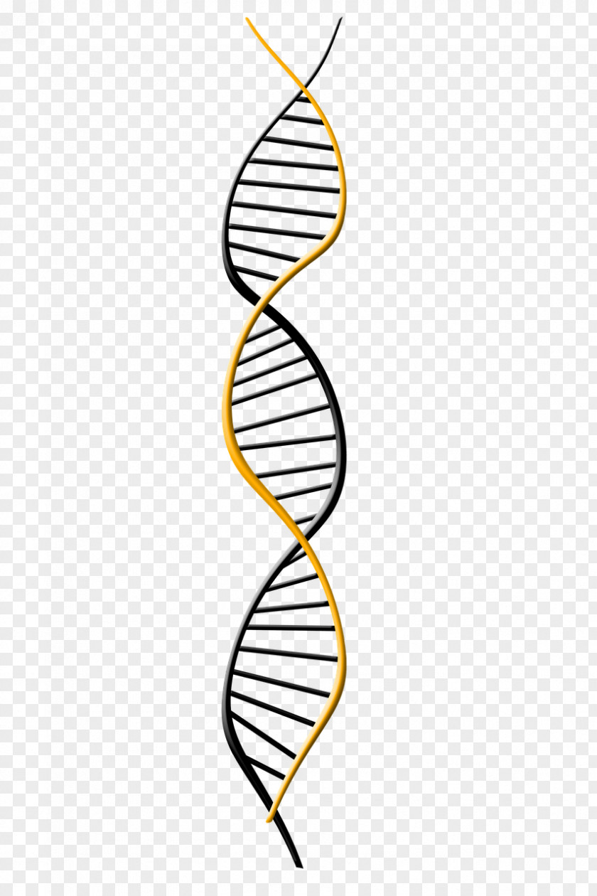 DNA Genetics Extraction Genome PNG