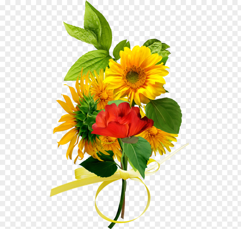 Flower Clip Art PNG