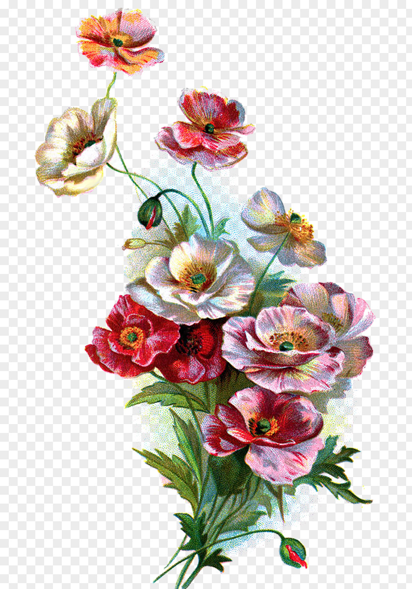 Flower Floral Design YouTube Drawing Image PNG