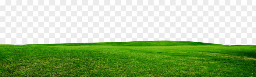 Grass Artificial Turf Grassland Land Lot Energy Wallpaper PNG