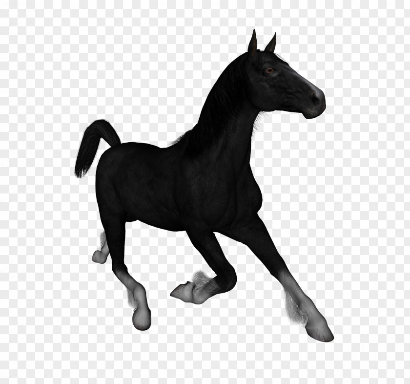 Headless Horseman Mustang Stallion Foal Mare Clip Art PNG