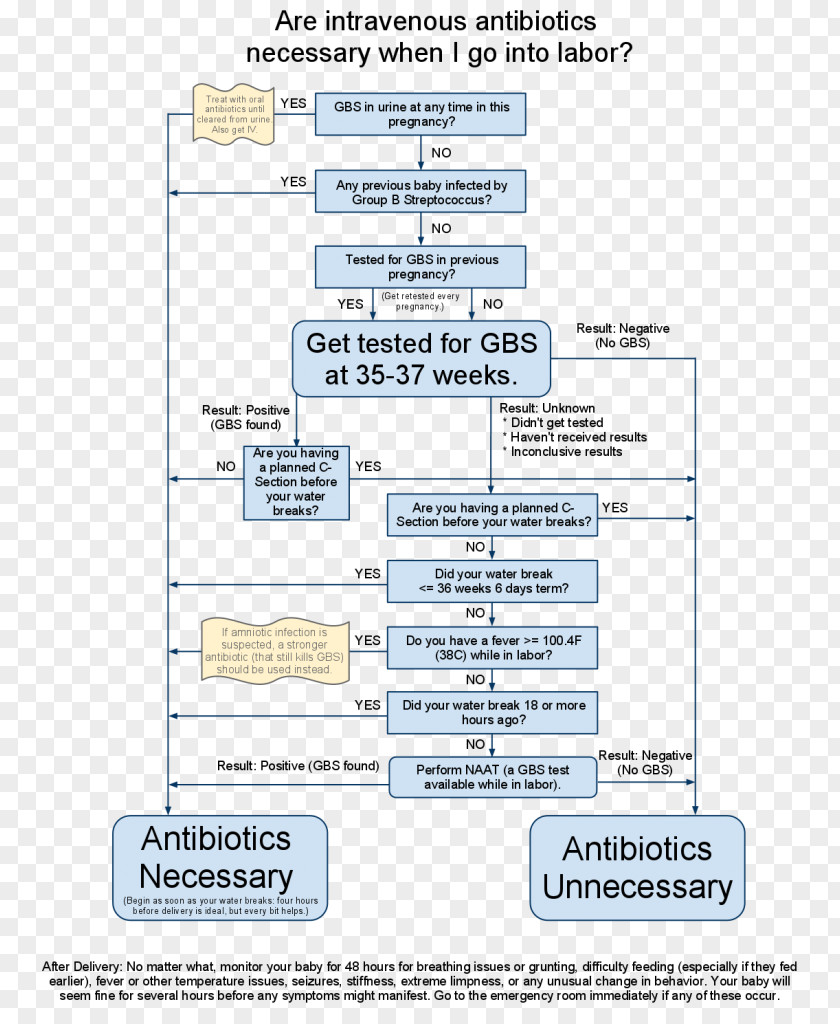 Pregnancy Group B Streptococcal Infection Streptococcus Antibiotics PNG
