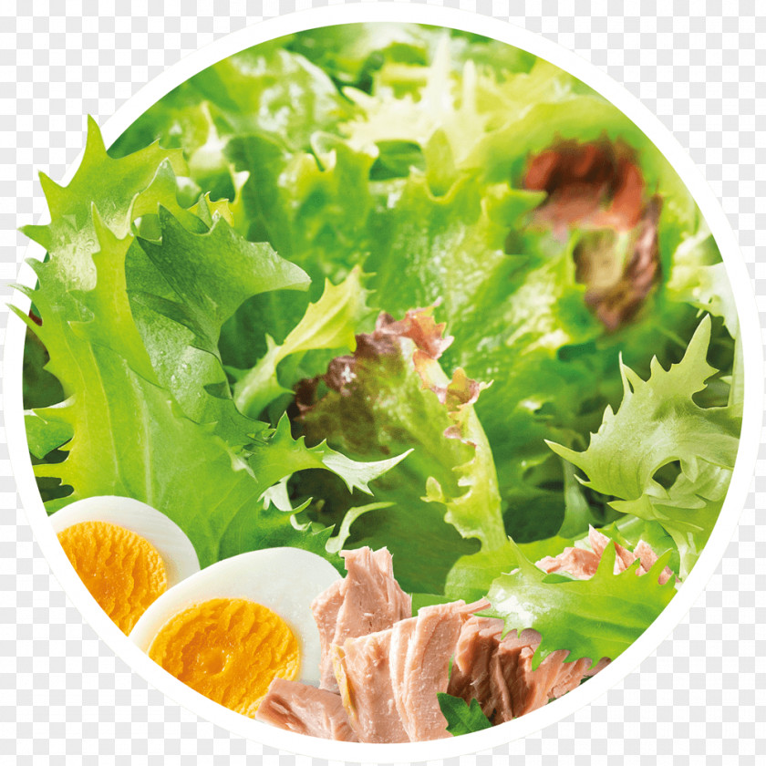 Salad Caesar Vegetarian Cuisine Romaine Lettuce Crudités Vinaigrette PNG