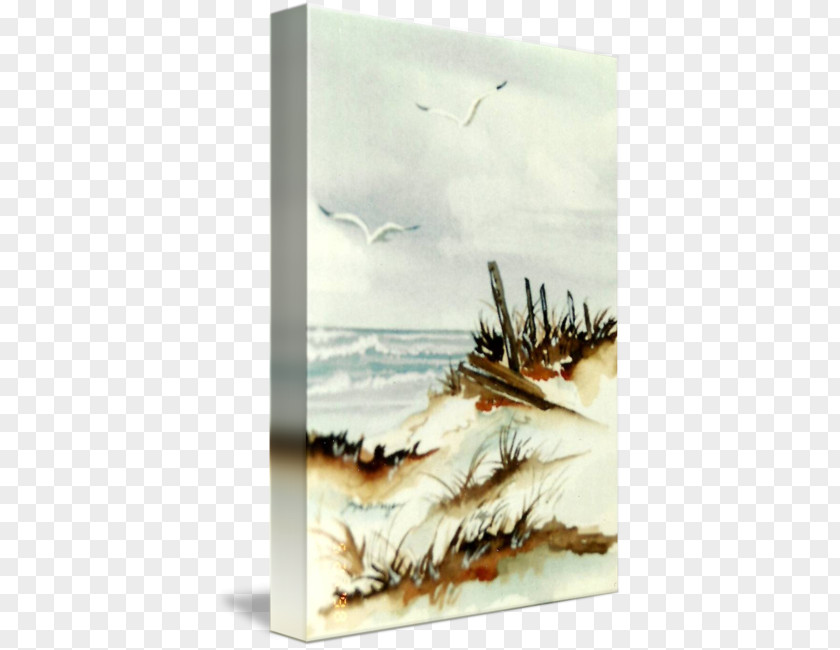 Sand Dunes Watercolor Painting Seascape Wind Wave PNG