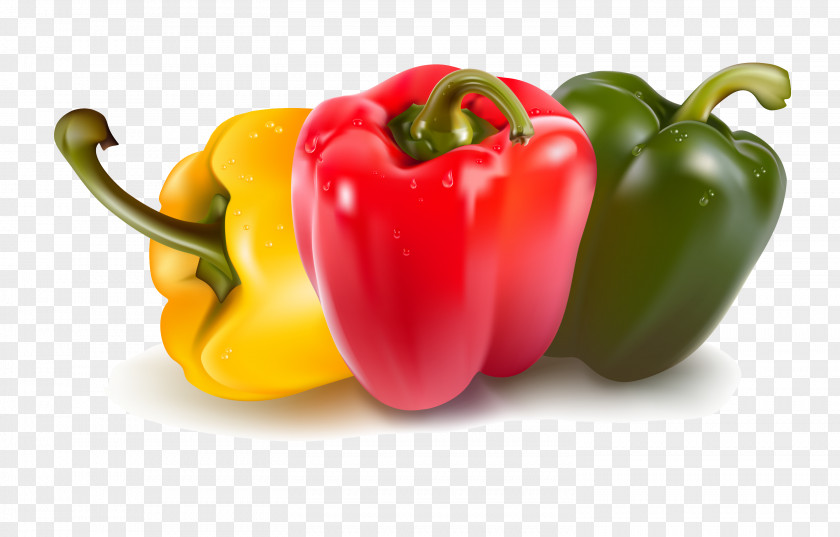 Chili Bell Pepper Capsicum Vegetable Clip Art PNG