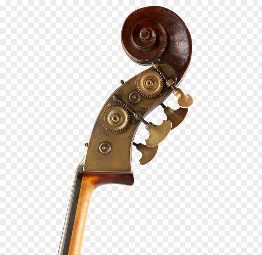 Double Bass Violin Cello Viola Musical Instruments PNG