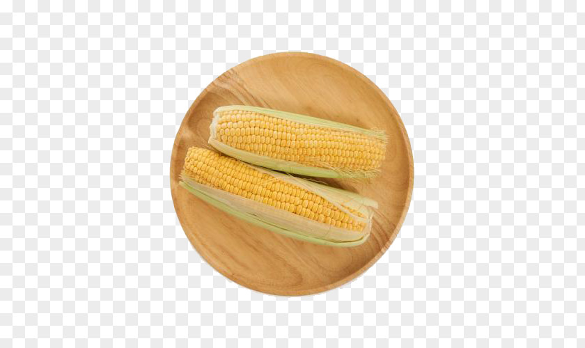 Organic Corn On The Cob Food Maize Farming PNG