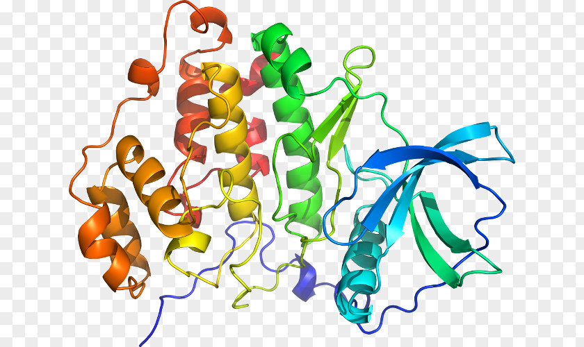 Ribosomal Protein S6 Kinase Eukaryotic Small Subunit Structure PNG