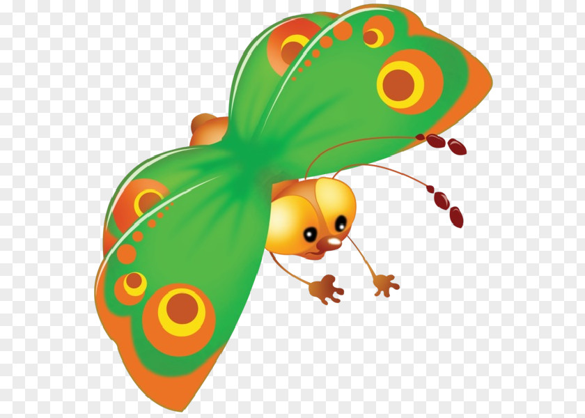 Butterfly Insect Cartoon Clip Art PNG