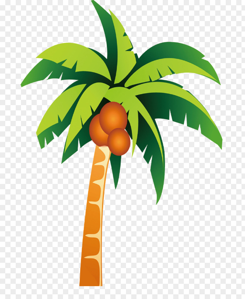Cartoon Coconut Trees PNG coconut trees clipart PNG