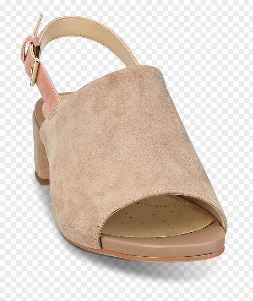 Sandal Suede Shoe PNG