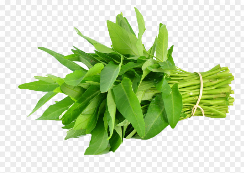 Vegetable Green Papaya Salad Saag Water Spinach Leaf PNG