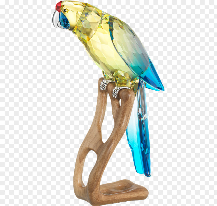 Aves Budgerigar Bird Green Rosella Parrot Macaw PNG