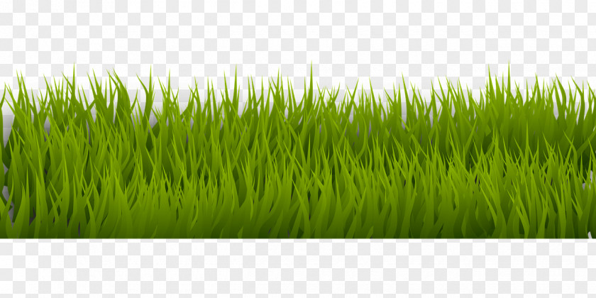 Grass Backround Desktop Wallpaper Clip Art PNG