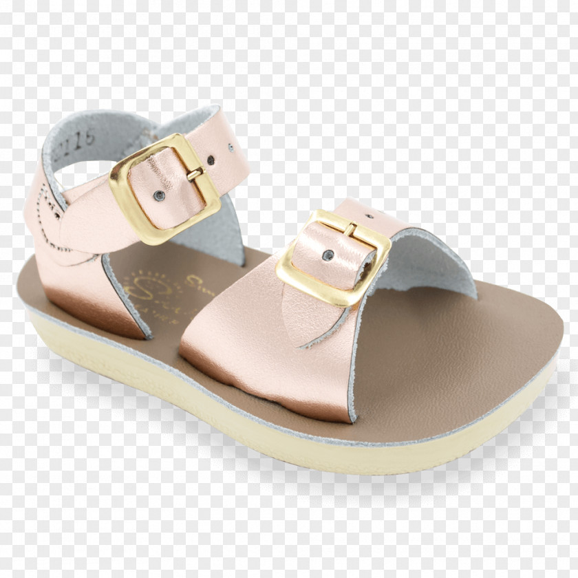 Sandal Saltwater Sandals Shoe Clothing Flip-flops PNG