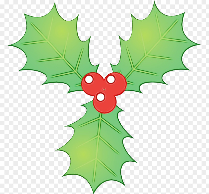 Woody Plant Plane Holly PNG