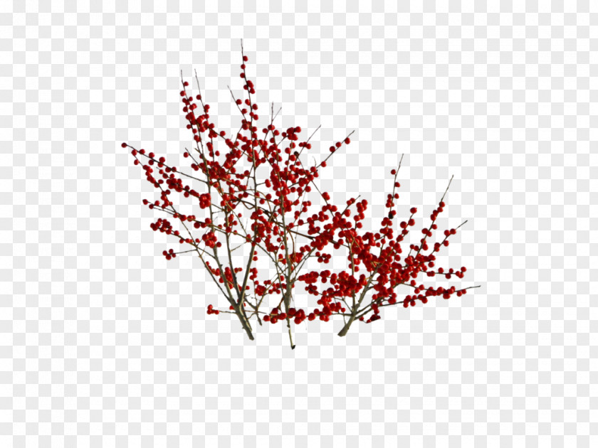 Cherry Blossom Twig Art Painting PNG