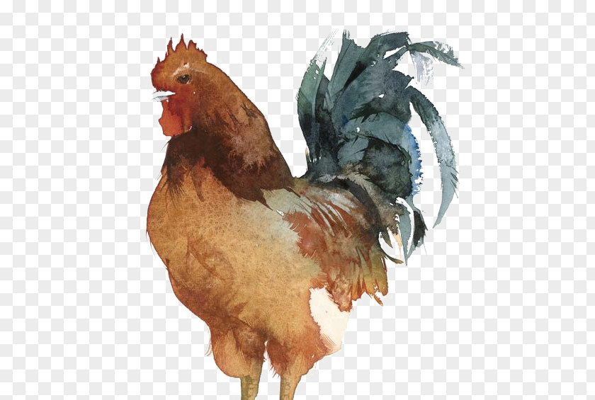 Cock Sussex Chicken Wyandotte Leghorn Brahma Rooster PNG