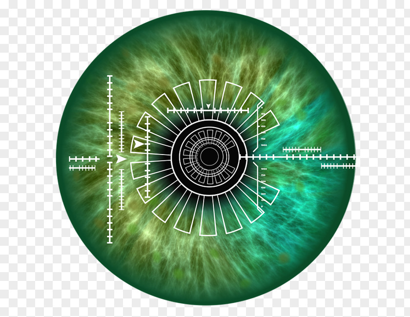 Eye Iris Recognition Biometrics Pattern PNG